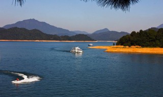 太平湖风景区旅游攻略 太平湖风景区旅游攻略猴岛