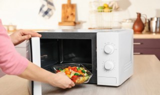 有内胆的饭盒可以放微波炉加热吗 内胆是不锈钢外面是塑料的饭盒可以放微波炉加热吗