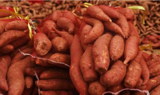 红薯多菌灵保存方法 红薯用多菌灵可以保存吗