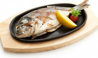鱼肉保存方法 鱼肉的保存方法