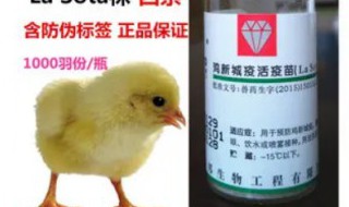 鸡疫苗保存方法 鸡疫苗常温下能保存多久