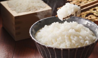 米饭保存方法 做好的米饭如何保存
