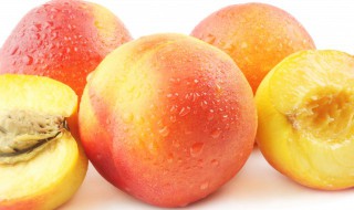 桃子保存方法 桃子保存方法有哪些