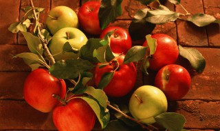 山旱地苹果树种植方法（抗旱果树有哪些）