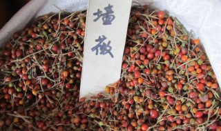 蔷薇花种子栽培方法 蔷薇花种子种植方法和注意事项