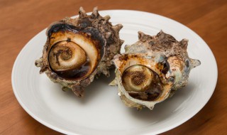 大海螺煮多长时间（大海螺煮多长时间最好吃）