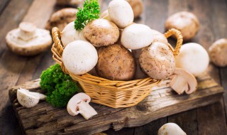 干蘑菇煮多长时间能熟 干蘑菇一般煮多久能熟