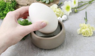 大鹅蛋煮多长时间能熟 大鹅蛋煮多久能熟