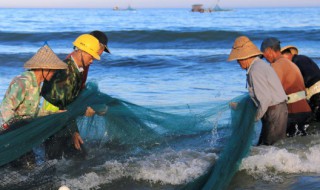 海产养殖公司安全生产注意事项 海产养殖公司安全生产注意事项有哪些