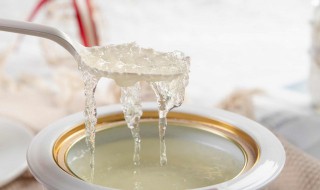 牛奶冰糖炖燕窝做法 冰糖燕窝的炖法
