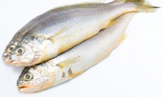 晒干的黄鱼怎么做好吃 晒干黄鱼的做法大全