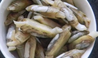 蛏子放冰箱可以活几天（干货蛏子可以放冰箱保存多久）