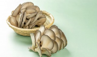 平菇这样做既简单又好吃 平菇怎么做简单又好吃