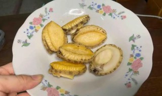鲍鱼去壳煮几分钟熟 去壳鲍鱼煮几分钟最好