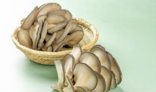平菇煮几分钟熟 平菇要煮几分钟才熟