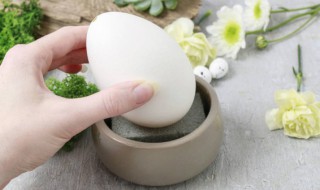 煮鹅蛋用几分钟能熟 煮鹅蛋多少分钟能熟