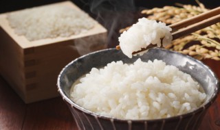 蒸大米多久能熟 蒸大米大概多久能熟