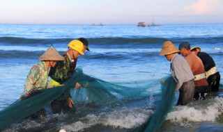 闽南巴浪鱼怎么处理晒干 福建巴浪鱼干食用方法