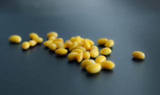 晒干的黄豆怎么炸好吃 炸干黄豆的做法