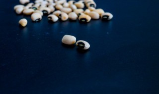 黑豆豉晒干怎么做有营养 晒干的黑豆怎么做好吃