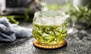 泡的绿茶可以放冰箱吗（绿茶可以存放冰箱吗）