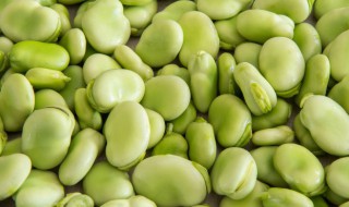 蚕豆播种方法 蚕豆怎么种植方法如下