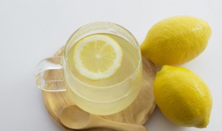 冰糖川贝炖柠檬的做法 川贝母炖柠檬加冰糖的功效