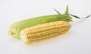 玉米一般蒸多久能熟 玉米需要蒸多久能熟?