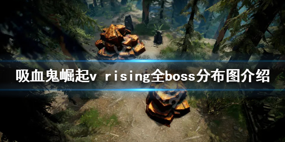 vrisingboss位置在哪（vrboss使用教程）