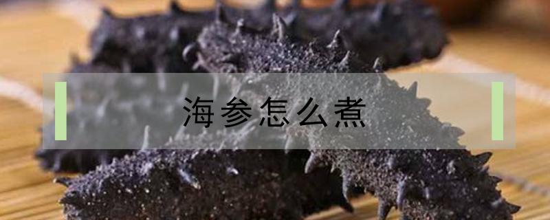 海参怎么煮 海参怎么煮烂
