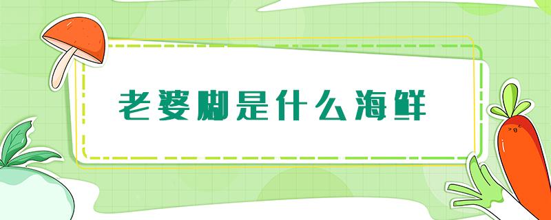 老婆脚是什么海鲜 老婆脚是什么海鲜图片