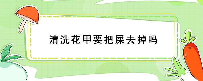 清洗花甲要把屎去掉吗 花甲怎么把屎去掉