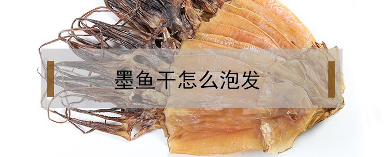 墨鱼干怎么泡发（墨鱼干怎么泡发最快）