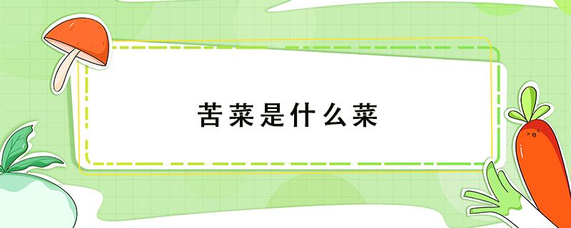 苦菜是什么菜（云南的苦菜是什么菜）