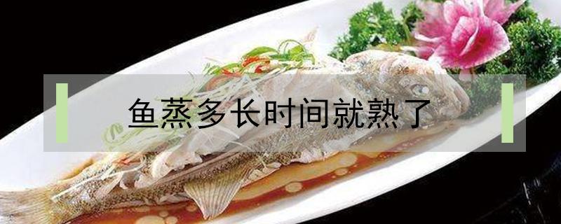鱼蒸多长时间就熟了(3斤鱼蒸多长时间就熟了)