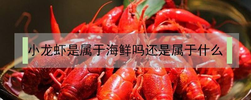 小龙虾是属于海鲜吗还是属于什么 龙虾是属于海鲜吗?