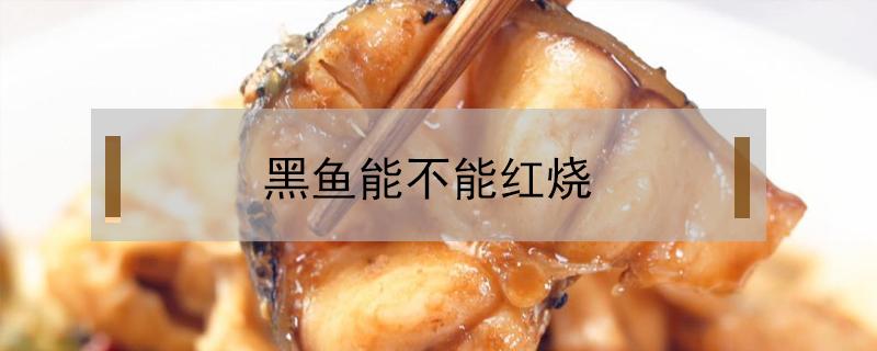 黑鱼能不能红烧 黑鱼可不可以红烧