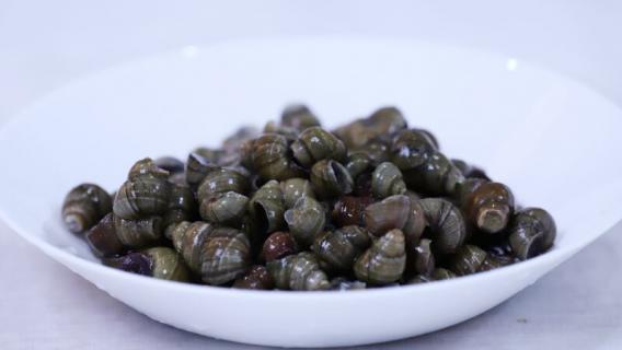 田螺放冰箱能保存多久（炒田螺放冰箱可以保存几天）