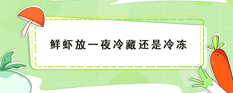 鲜虾放一夜冷藏还是冷冻（鲜虾放一天冷藏还是冷冻）