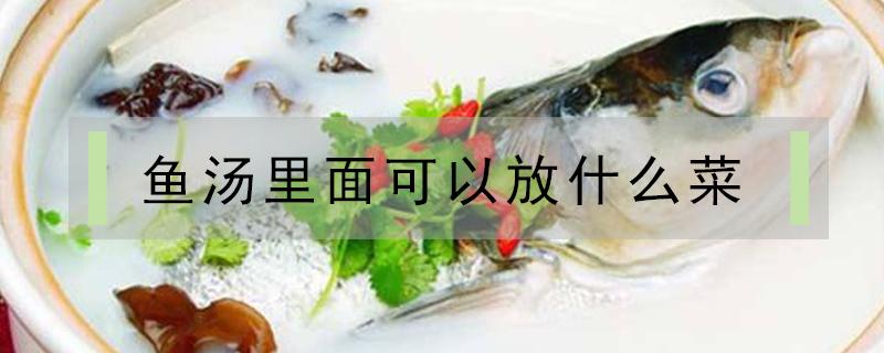 鱼汤里面可以放什么菜 鱼汤都能放什么菜