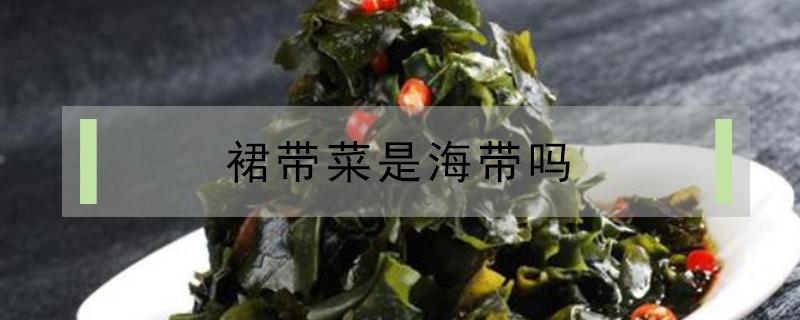 裙带菜是海带吗 裙带菜是海带吗怎么做好吃