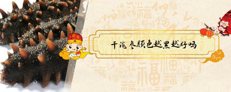 干海参颜色越黑越好吗 干海参是黑色好还是灰色好