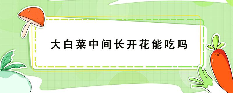 大白菜中间长开花能吃吗 小白菜开花了还能吃吗