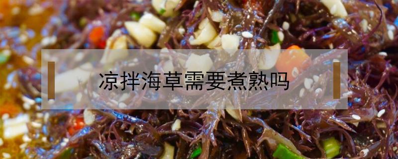 凉拌海草需要煮熟吗（海草怎么烧好凉拌吗）