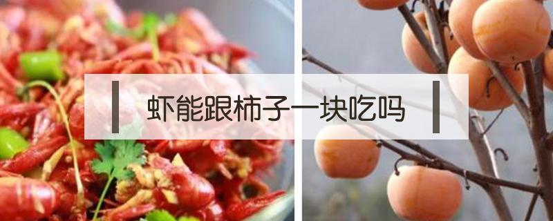 虾能跟柿子一块吃吗（虾能和柿子一块儿吃吗）