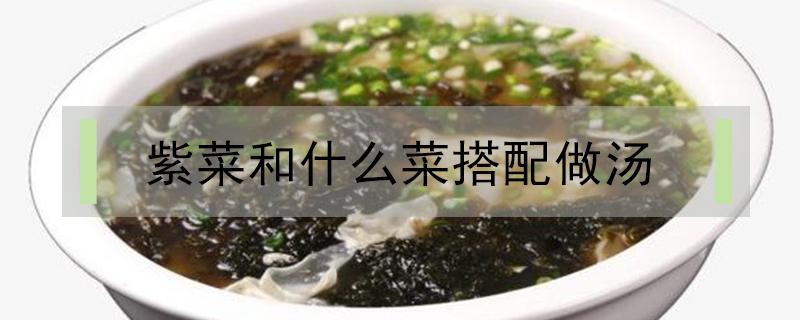 紫菜和什么菜搭配做汤 紫菜和什么菜搭配做汤好