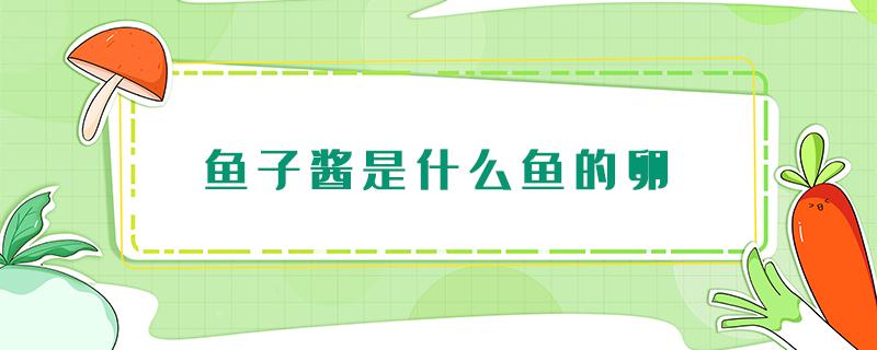 鱼子酱是什么鱼的卵 黄色鱼子酱是什么鱼的卵