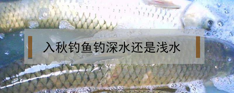 入秋钓鱼钓深水还是浅水 入秋晚上钓深水还是浅水