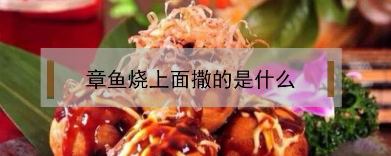 章鱼烧上面撒的是什么 章鱼烧上面撒的是啥