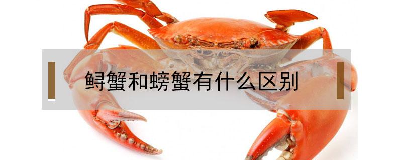 鲟蟹和螃蟹有什么区别 螃蟹和鲟是一样的吗